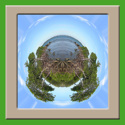 Tree God